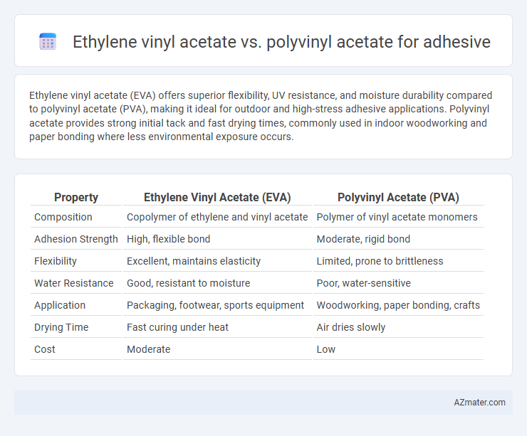 Ethylene vinyl acetate vs. polyvinyl acetate for adhesive - What is The Difference?