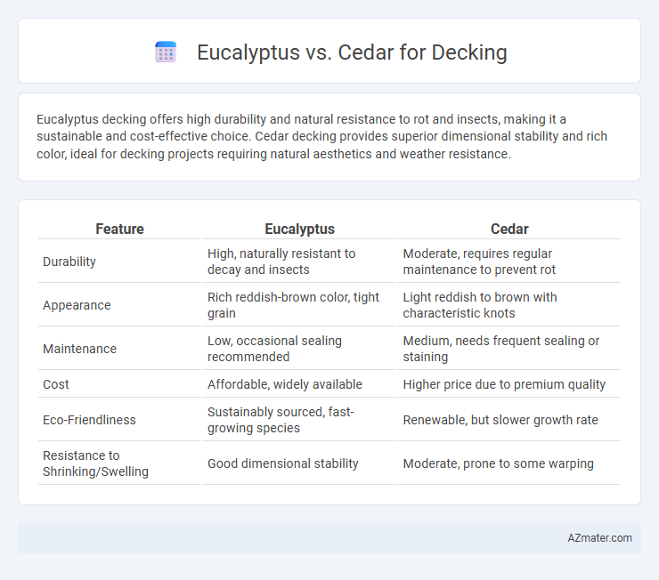 Eucalyptus vs. Cedar for Decking - What is The Difference?
