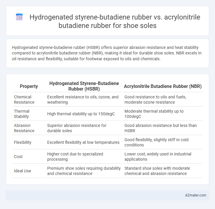 Hydrogenated styrene-butadiene rubber vs. acrylonitrile butadiene rubber for shoe soles - What is The Difference?