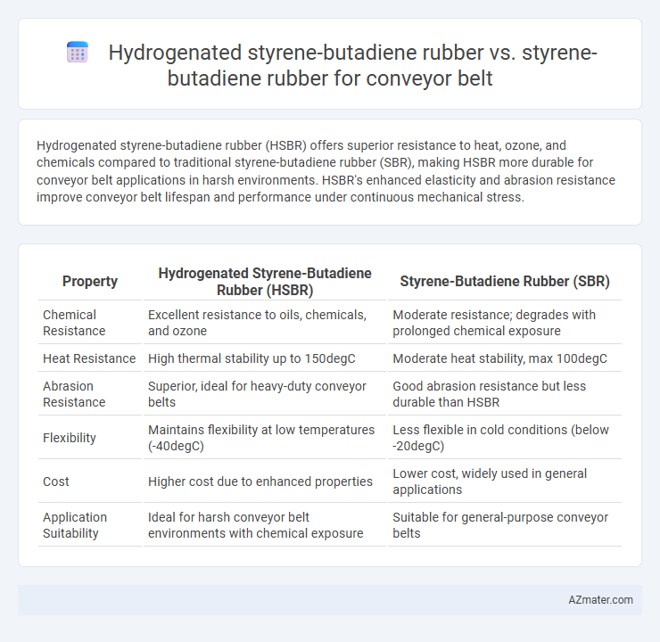 Hydrogenated styrene-butadiene rubber vs. styrene-butadiene rubber for conveyor belt - What is The Difference?
