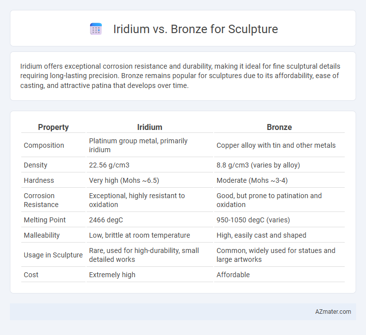 Iridium vs. Bronze for Sculpture - What is The Difference?
