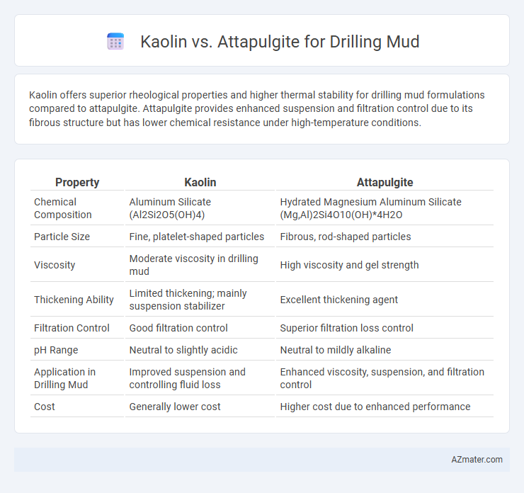 Kaolin vs. Attapulgite for Drilling Mud - What is The Difference?
