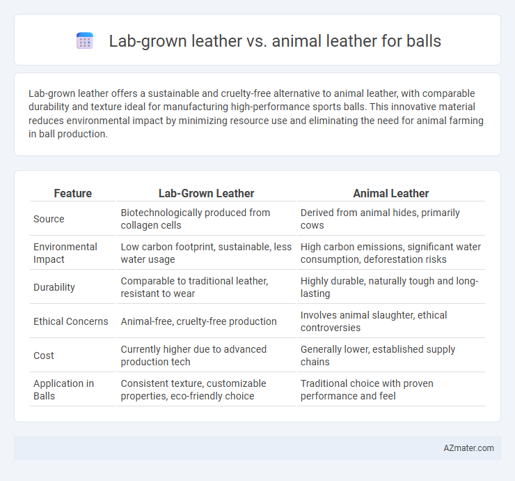 Lab-grown leather vs. animal leather for balls - What is The Difference?