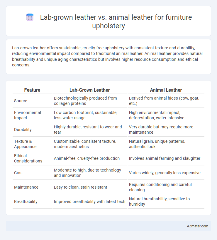 Lab-grown leather vs. animal leather for furniture upholstery - What is The Difference?