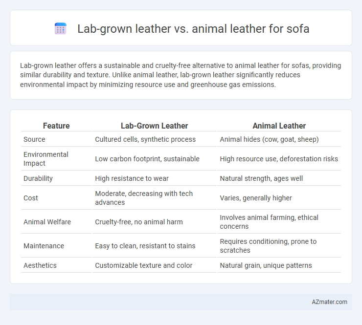 Lab-grown leather vs. animal leather for sofa - What is The Difference?