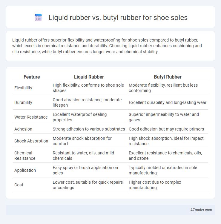 Liquid rubber vs. butyl rubber for shoe soles - What is The Difference?