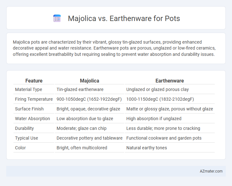 Majolica vs. Earthenware for Pots - What is The Difference?