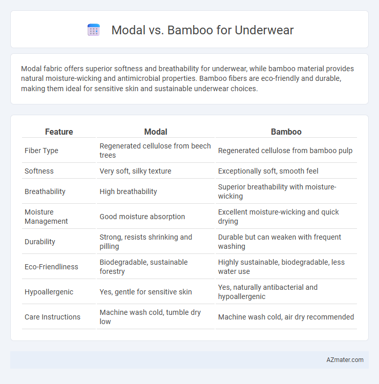 Modal vs. Bamboo for Underwear - What is The Difference?