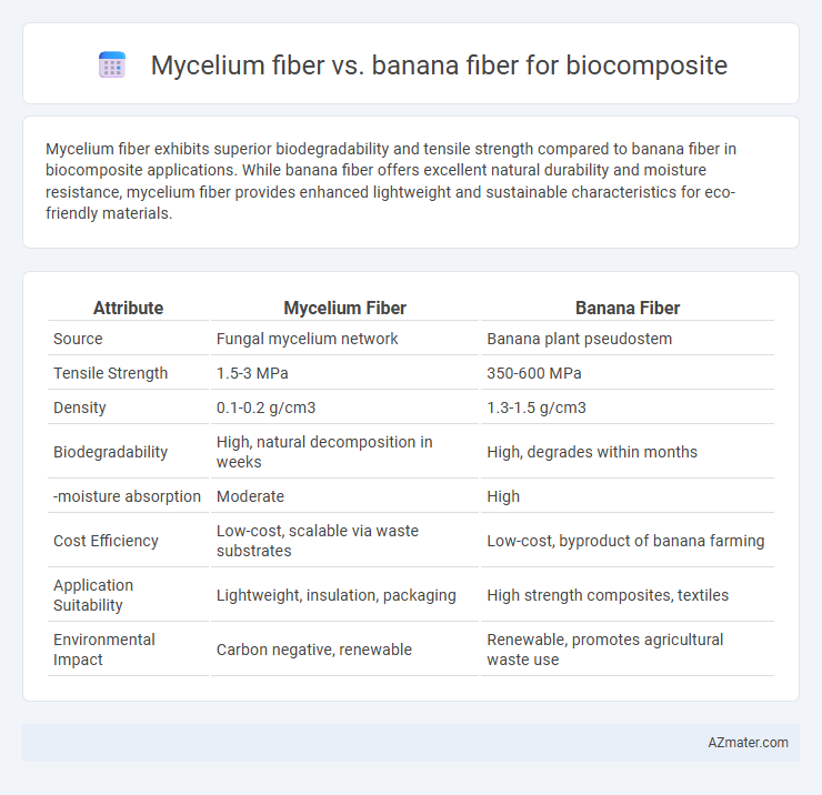 Mycelium fiber vs. banana fiber for biocomposite - What is The Difference?