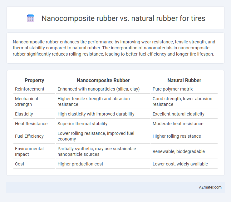 Nanocomposite rubber vs. natural rubber for tires - What is The Difference?
