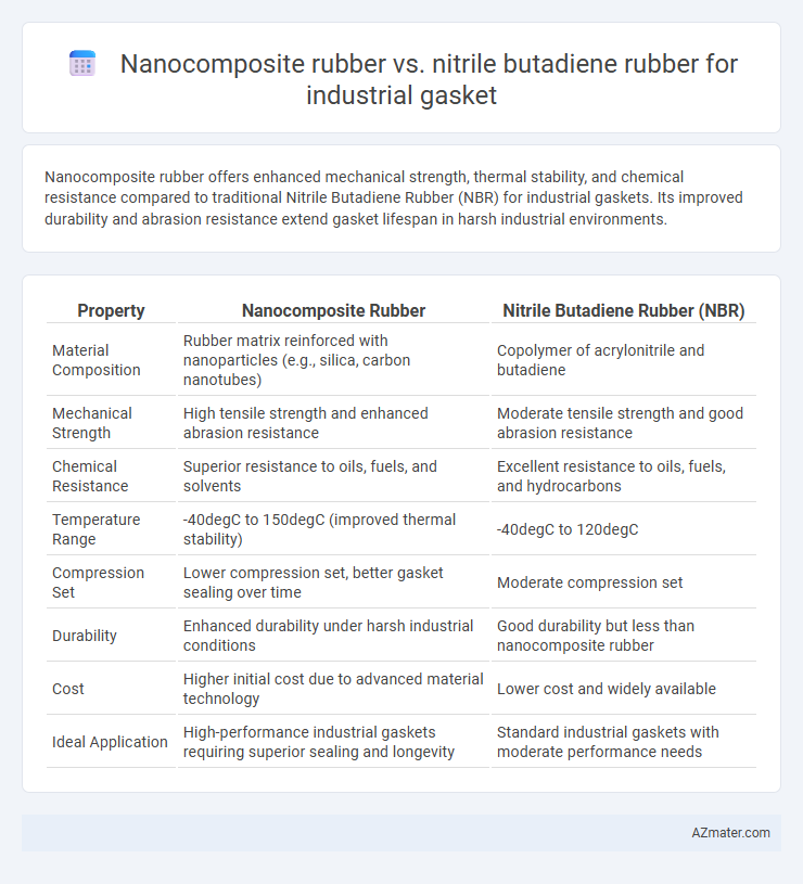 Nanocomposite rubber vs. nitrile butadiene rubber for industrial gasket - What is The Difference?