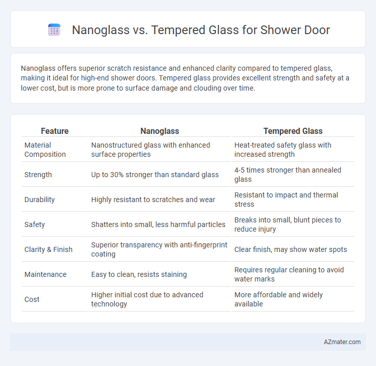 Nanoglass vs. Tempered Glass for Shower Door - What is The Difference?