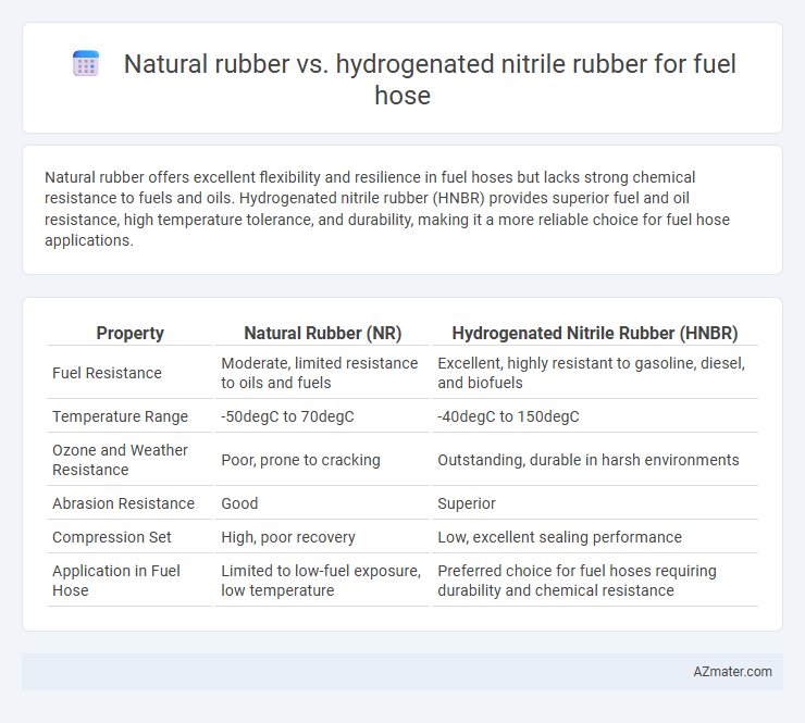 Natural rubber vs. hydrogenated nitrile rubber for fuel hose - What is The Difference?