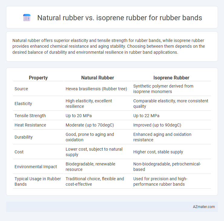 Natural rubber vs. isoprene rubber for rubber bands - What is The Difference?