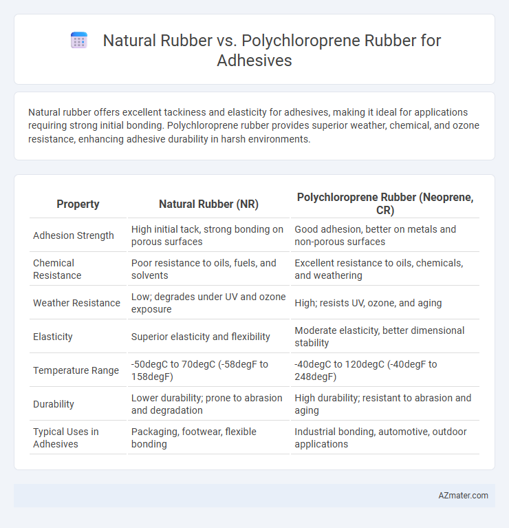 Natural Rubber vs. Polychloroprene Rubber for Adhesives - What is The Difference?