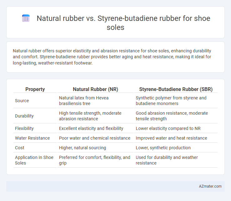 Natural rubber vs. Styrene-butadiene rubber for shoe soles - What is The Difference?