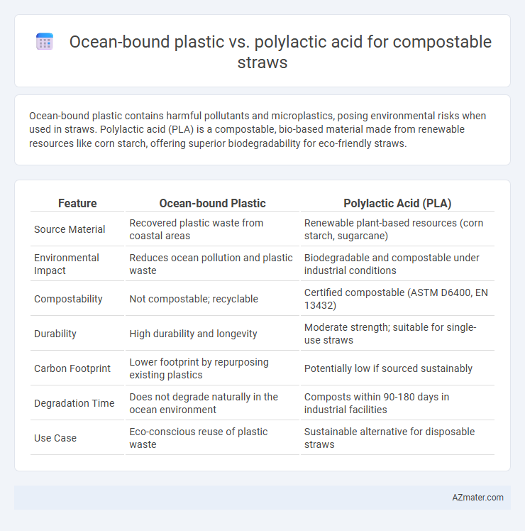 Ocean-bound plastic vs. polylactic acid for compostable straws - What is The Difference?