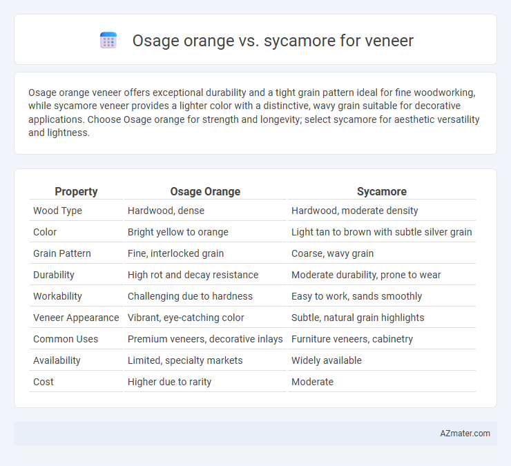 Osage orange vs. sycamore for veneer - What is The Difference?