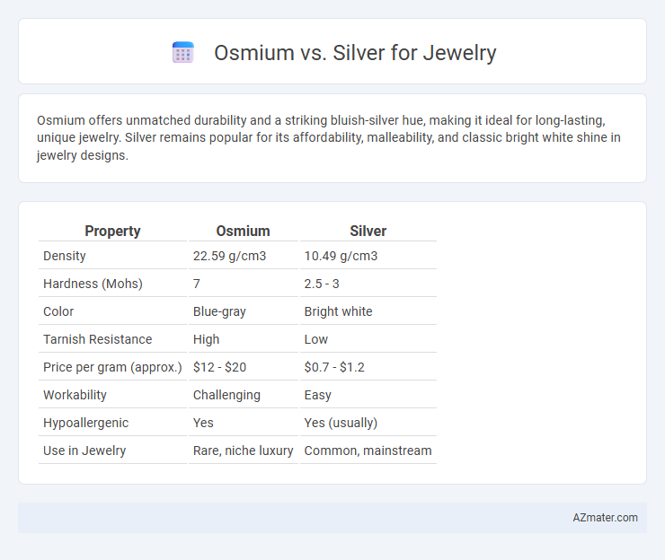 Osmium vs. Silver for Jewelry - What is The Difference?