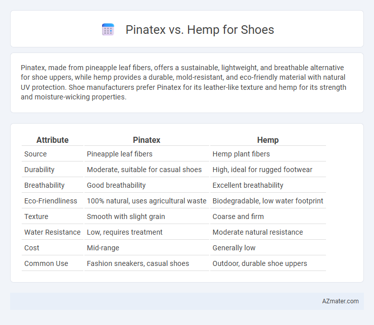 Pinatex vs. Hemp for Shoes - What is The Difference?