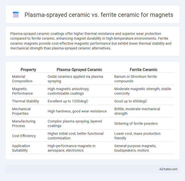 Plasma-sprayed ceramic vs. ferrite ceramic for magnets - What is The Difference?