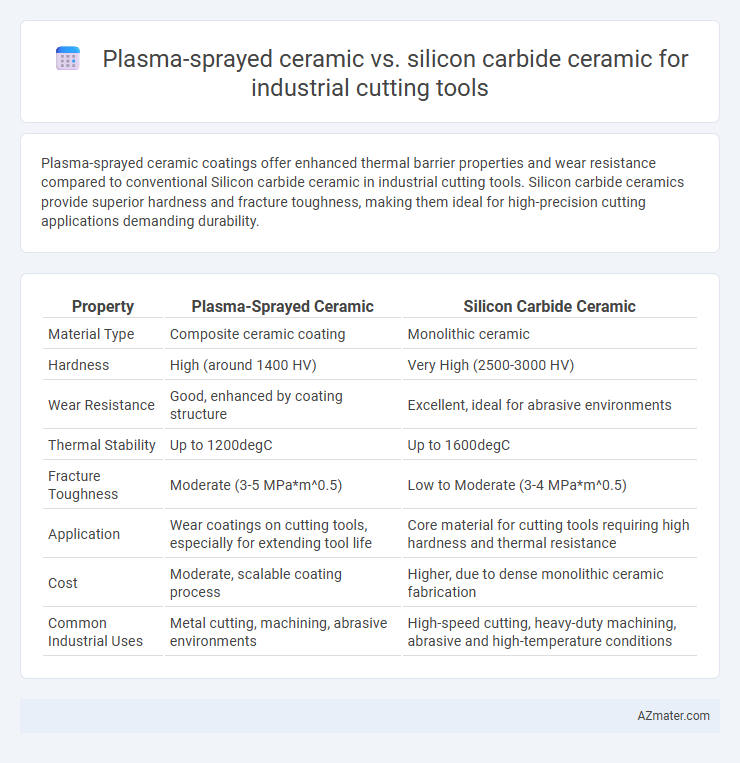 Plasma-sprayed ceramic vs. silicon carbide ceramic for industrial cutting tools - What is The Difference?