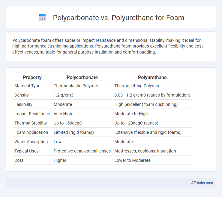 Polycarbonate vs. Polyurethane for Foam - What is The Difference?