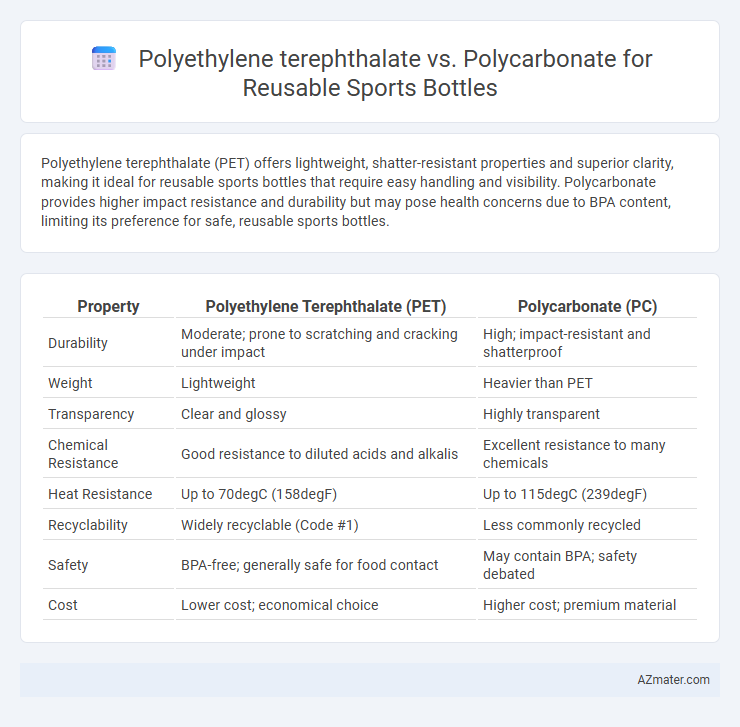 Polyethylene terephthalate vs. Polycarbonate for Reusable Sports Bottles - What is The Difference?