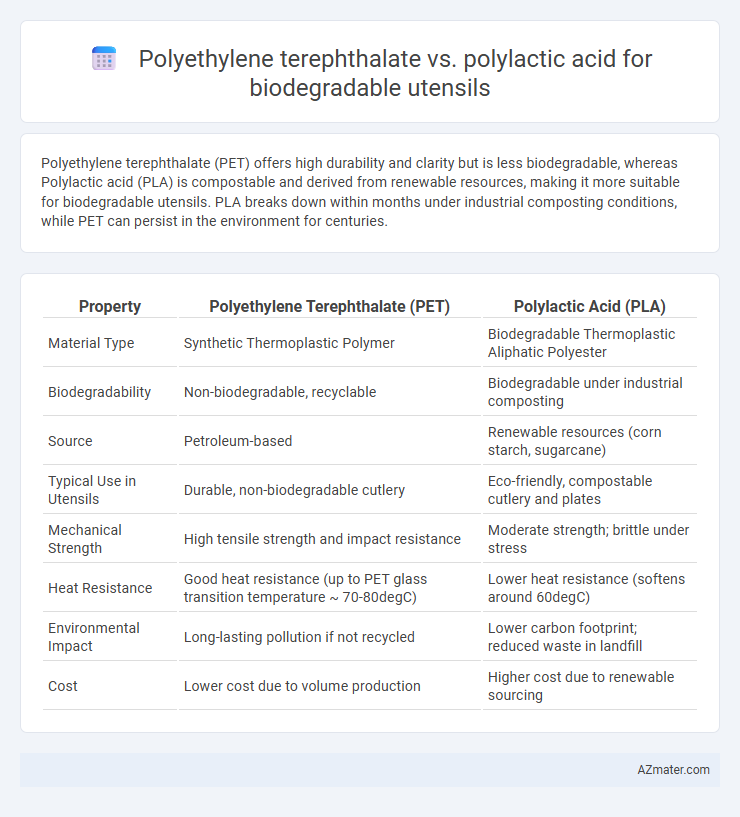 Polyethylene terephthalate vs. polylactic acid for biodegradable utensils - What is The Difference?