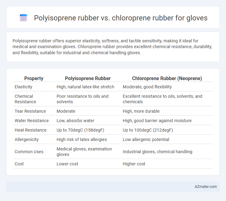 Polyisoprene rubber vs. chloroprene rubber for gloves - What is The Difference?