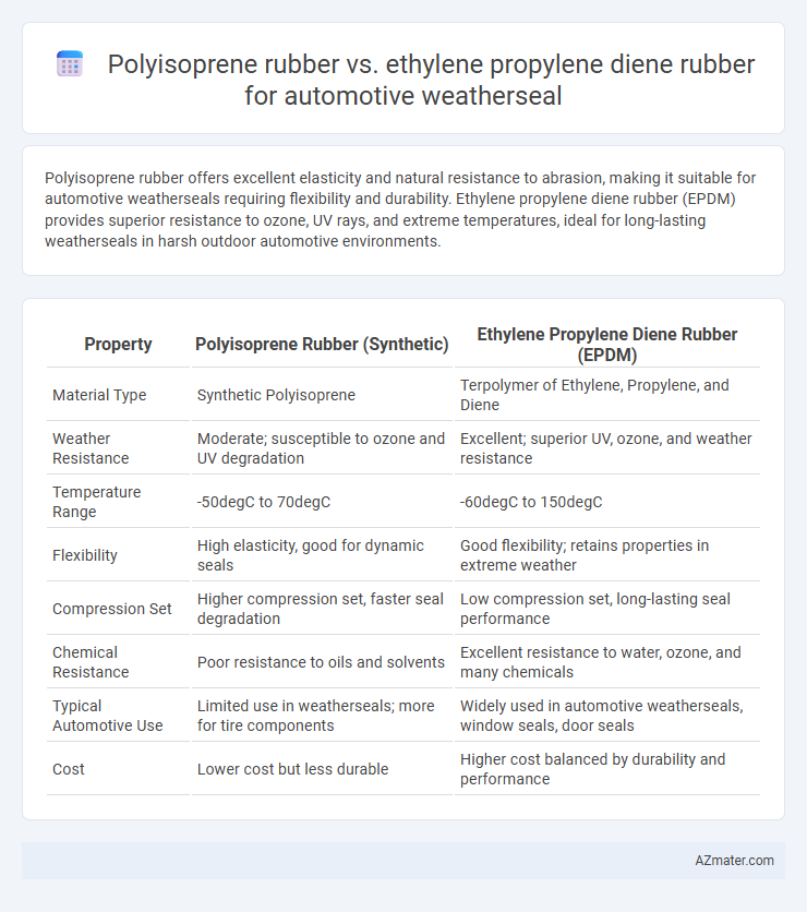 Polyisoprene rubber vs. ethylene propylene diene rubber for automotive weatherseal - What is The Difference?