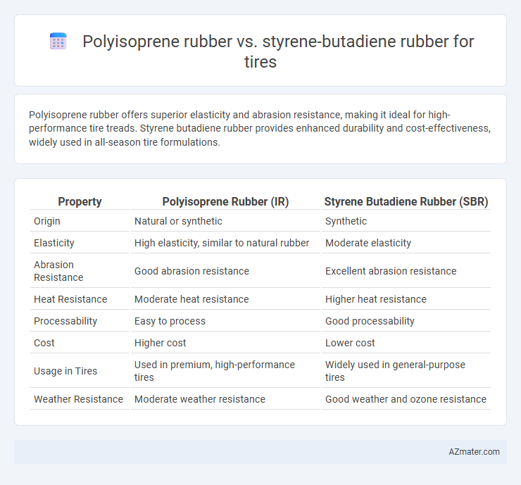 Polyisoprene rubber vs. styrene-butadiene rubber for tires - What is The Difference?