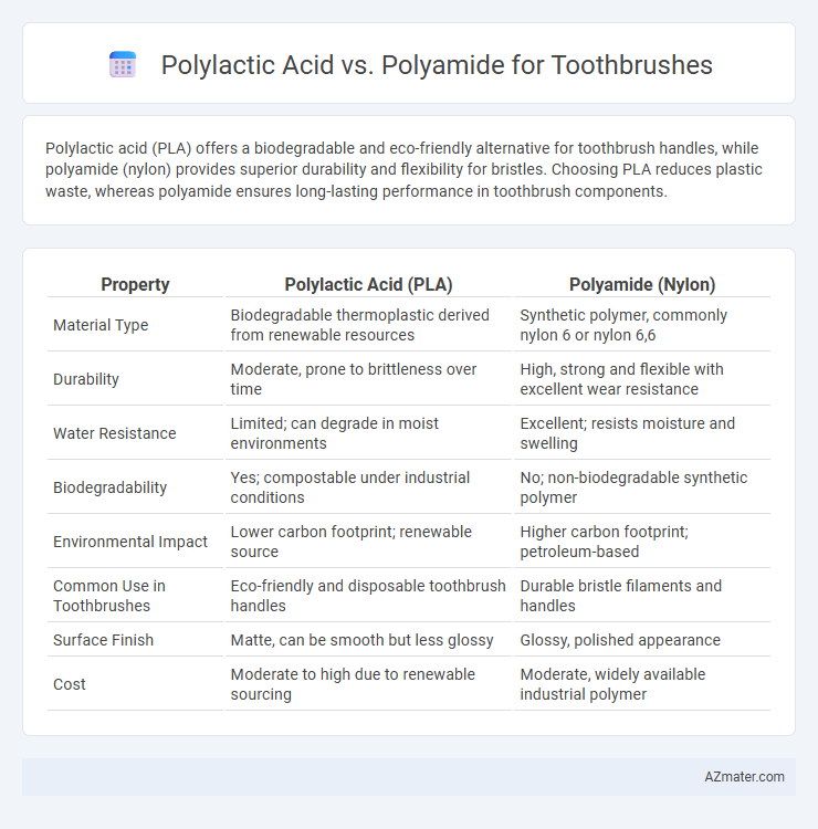 Polylactic Acid vs. Polyamide for Toothbrushes - What is The Difference?