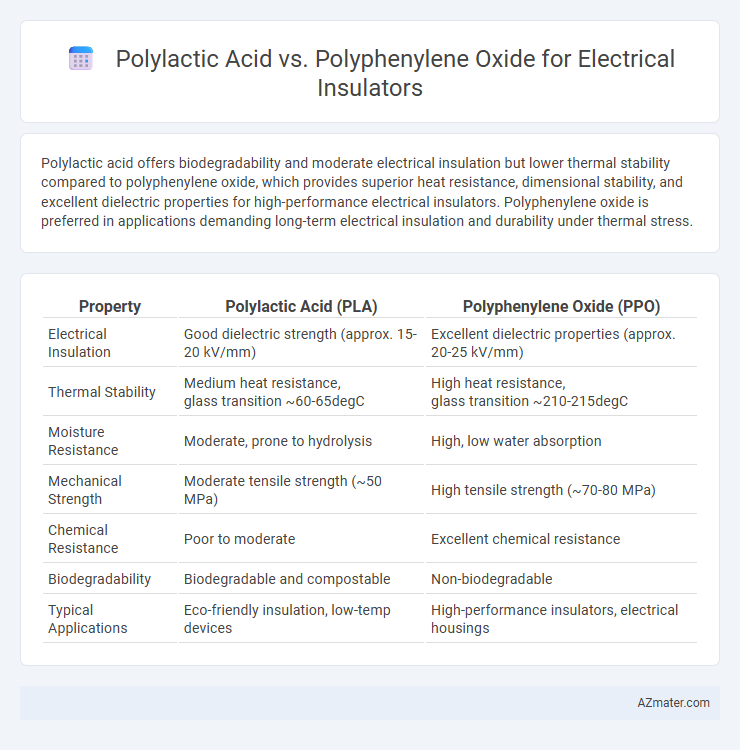 Polylactic Acid vs. Polyphenylene Oxide for Electrical Insulators - What is The Difference?