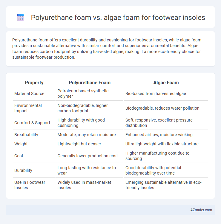 Polyurethane foam vs. algae foam for footwear insoles - What is The Difference?