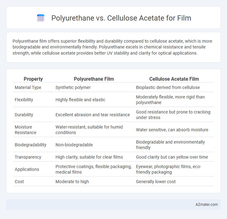 Polyurethane vs. Cellulose Acetate for Film - What is The Difference?