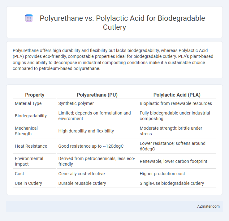 Polyurethane vs. Polylactic Acid for Biodegradable Cutlery - What is The Difference?