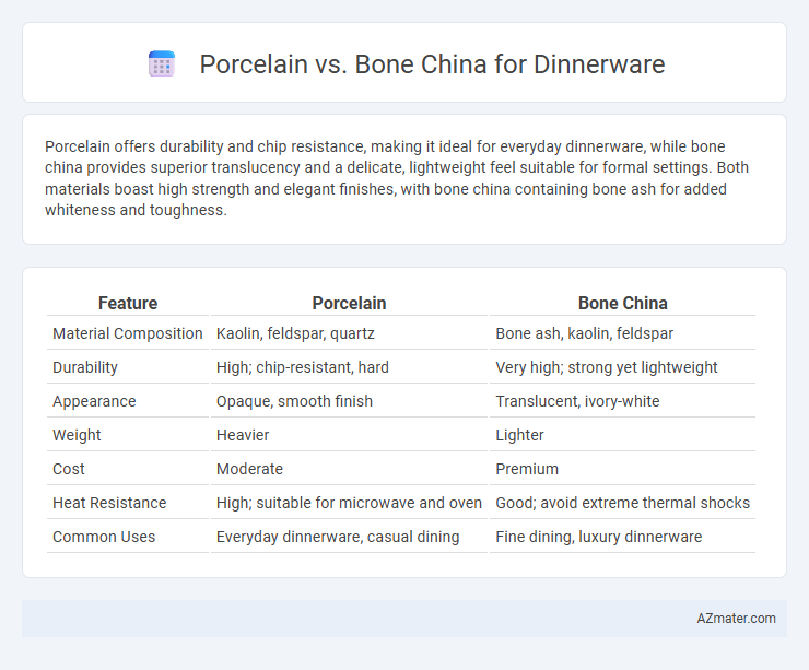 Porcelain vs. Bone China for Dinnerware - What is The Difference?