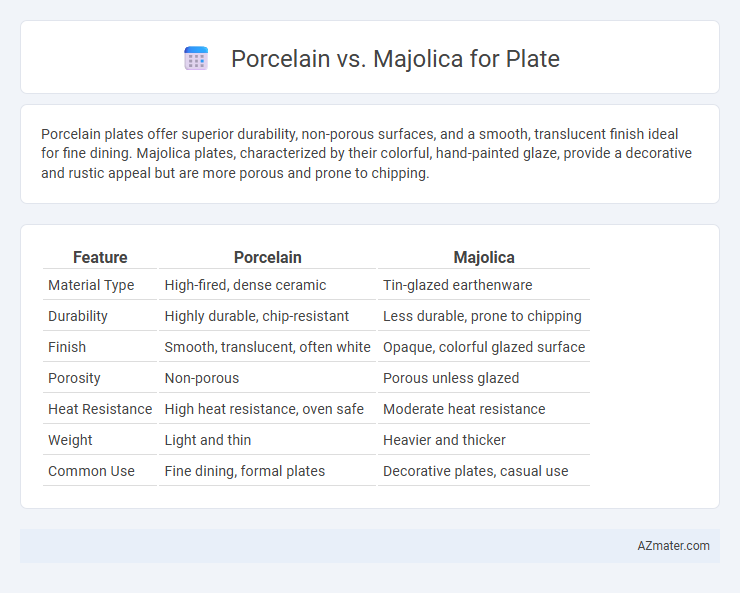 Porcelain vs. Majolica for Plate - What is The Difference?