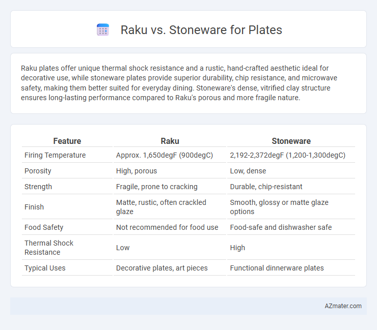 Raku vs. Stoneware for Plates - What is The Difference?