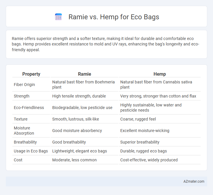 Ramie vs. Hemp for Eco Bags - What is The Difference?