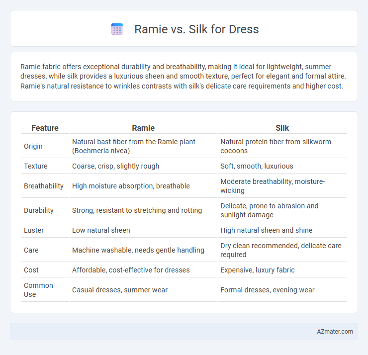 Ramie vs. Silk for Dress - What is The Difference?