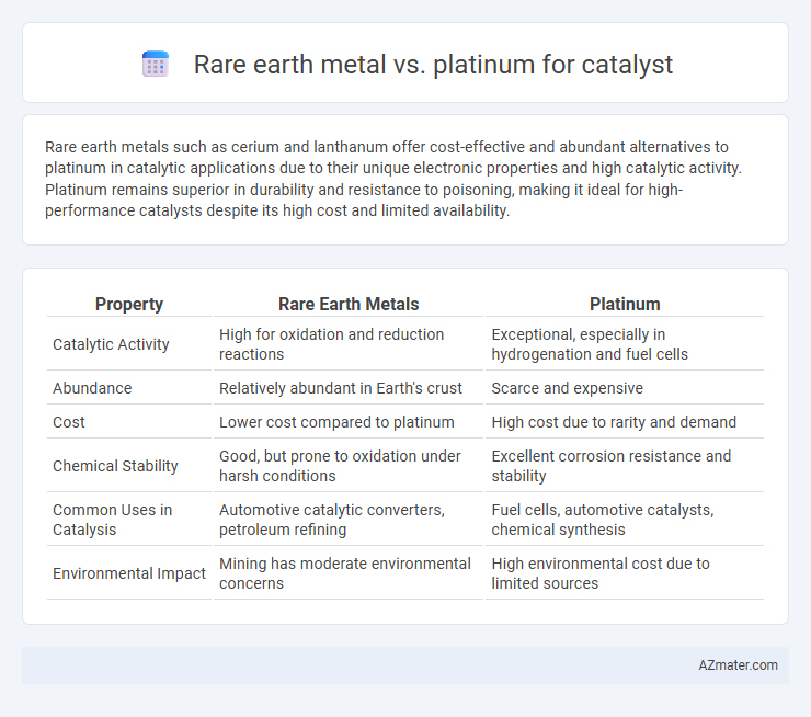 Rare earth metal vs. platinum for catalyst - What is The Difference?
