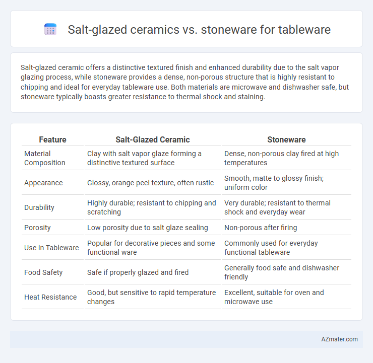 Salt-glazed ceramics vs. stoneware for tableware - What is The Difference?