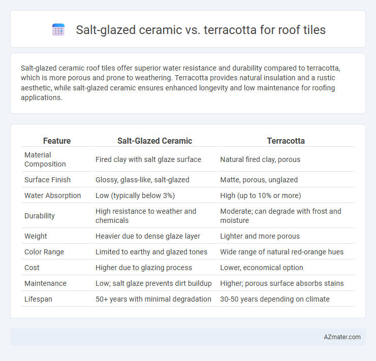 Salt-glazed ceramic vs. terracotta for roof tiles - What is The Difference?