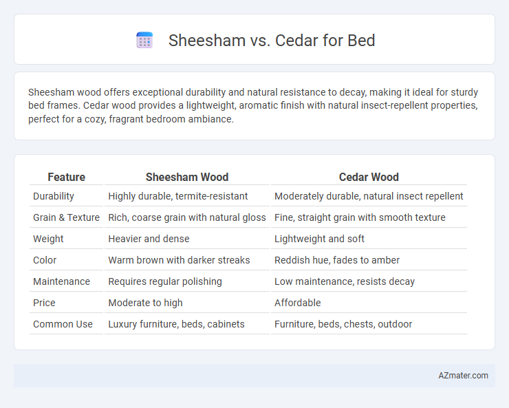Sheesham vs. Cedar for Bed - What is The Difference?