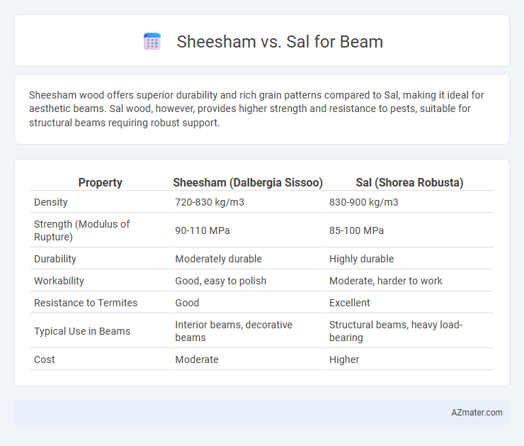 Sheesham vs. Sal for Beam - What is The Difference?