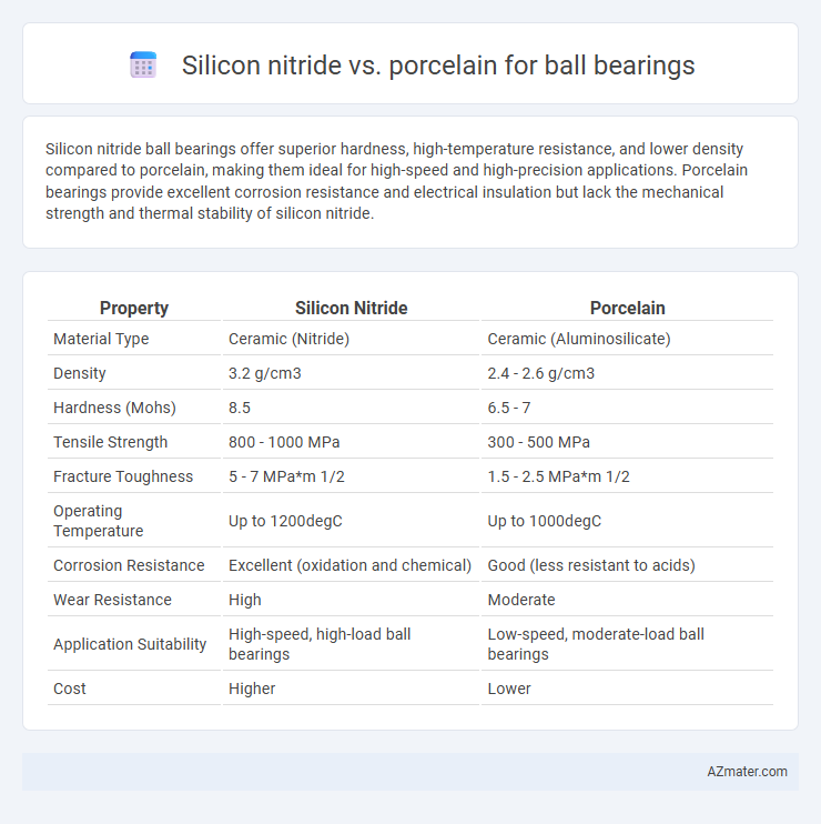Silicon nitride vs. porcelain for ball bearings - What is The Difference?