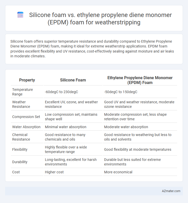 Silicone foam vs. ethylene propylene diene monomer (EPDM) foam for weatherstripping - What is The Difference?