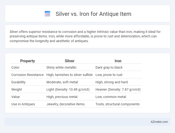Silver vs. Iron for Antique Item - What is The Difference?